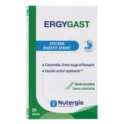 ERGYGAST 20 sitctis