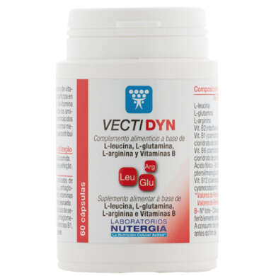 VECTIDYN