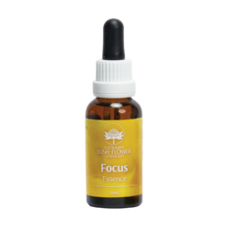 ESSÊNCIAS FLORAIS FOCUS ESSENCE