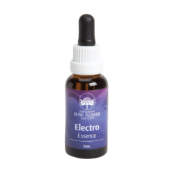 ESSÊNCIAS FLORAIS ELECTRO ESSENCE