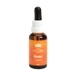 ESSÊNCIAS FLORAIS BOOST ESSENCE