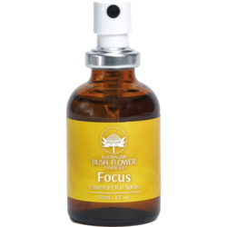 ESSÊNCIAS FLORAIS FOCUS ORAL SPRAY