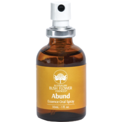 ESSÊNCIAS FLORAIS ABUND ORAL SPRAY